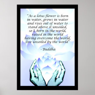 Lotus Buddha Blume Zitat Blue Poster 2
