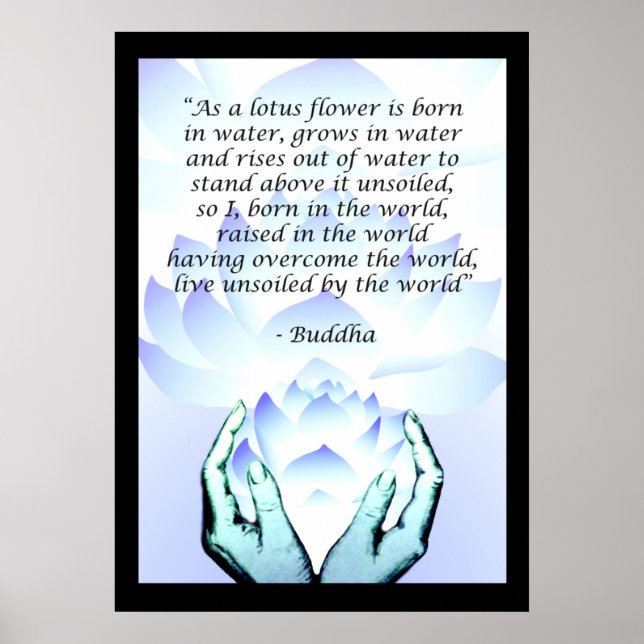 Lotus Buddha Blume Zitat Blue Poster 2 (Vorne)