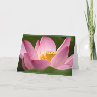 Lotus Card Karte