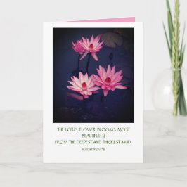 Lotus Card mit Angebot Karte