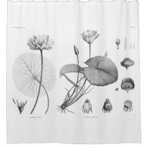 Lotus-Duschvorhang Duschvorhang