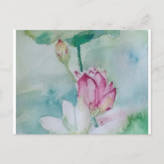 Lotus Feiertagspostkarte (Vorderseite)