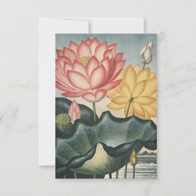 Lotus Fine Art Dankeskarte (Vorderseite)