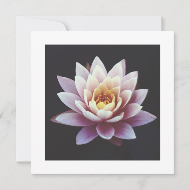 LOTUS FLAT CARD (Vorderseite)