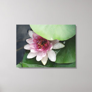 Lotus Flower Fotografie Canvas Print Leinwanddruck