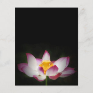 Lotus Flower Fotografy Great Yoga Om Geschenk! Flyer