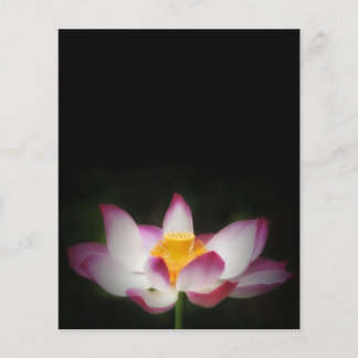 Lotus Flower Fotografy Great Yoga Om Geschenk! Flyer