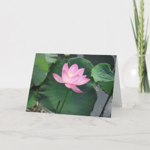 Lotus flower karte