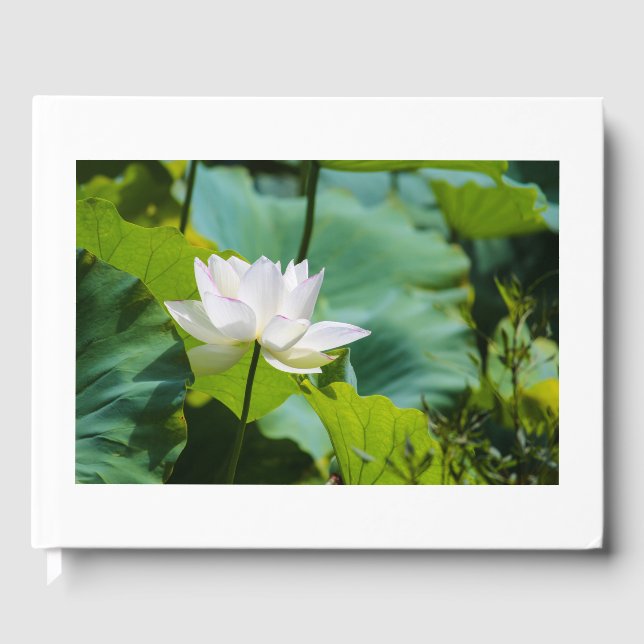 Lotus Gästebuch (Vorderseite)