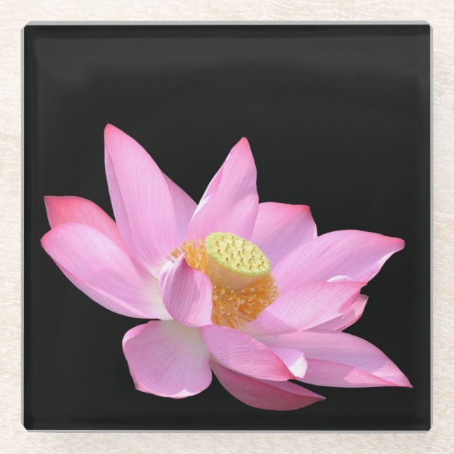 Lotus Glasuntersetzer (Vorderseite)