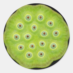 Lotus-Hülsen-Aufkleber Runder Aufkleber