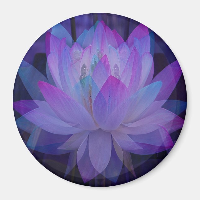 Lotus in Blau... Magnet (Vorne)