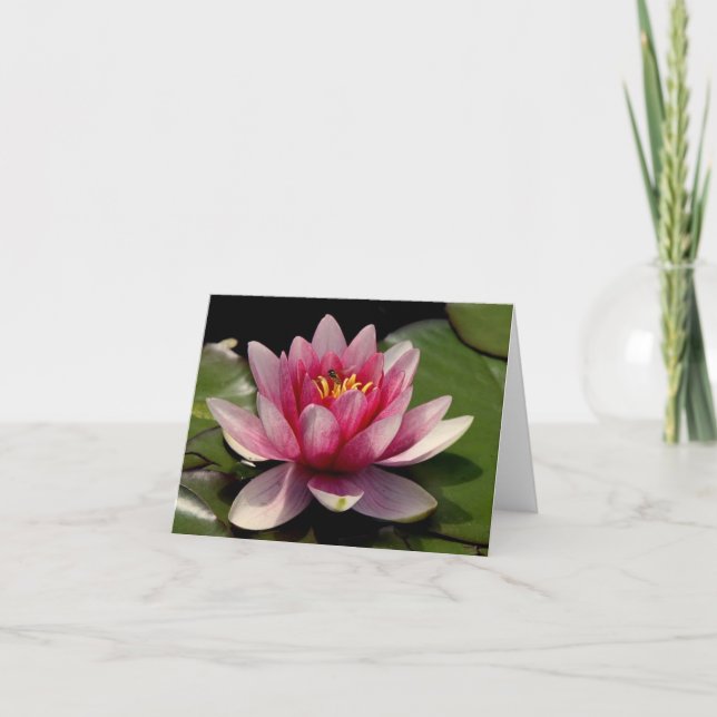 Lotus Jeden Anlaß Notecard Dankeskarte (Vorderseite)