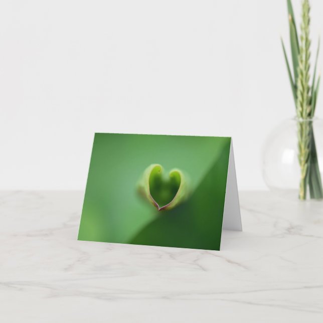 Lotus Jeden Anlaß Notecard Dankeskarte (Vorderseite)