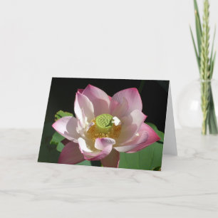 Lotus Karte