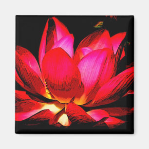 Lotus Magnet