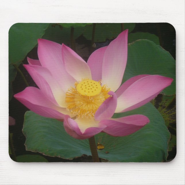 Lotus-Mausunterlage Mousepad (Vorne)