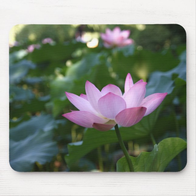 Lotus Mousepad (Vorne)