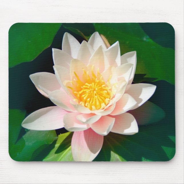 Lotus Mousepad (Vorne)