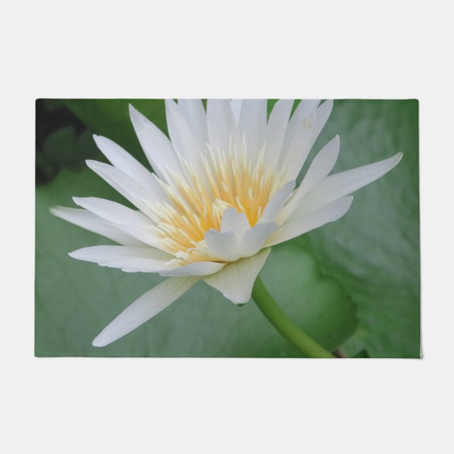 Lotus, Namaste, Meditation, Zen, Geschäfte, Pflanz Fußmatte (Vorderseite)