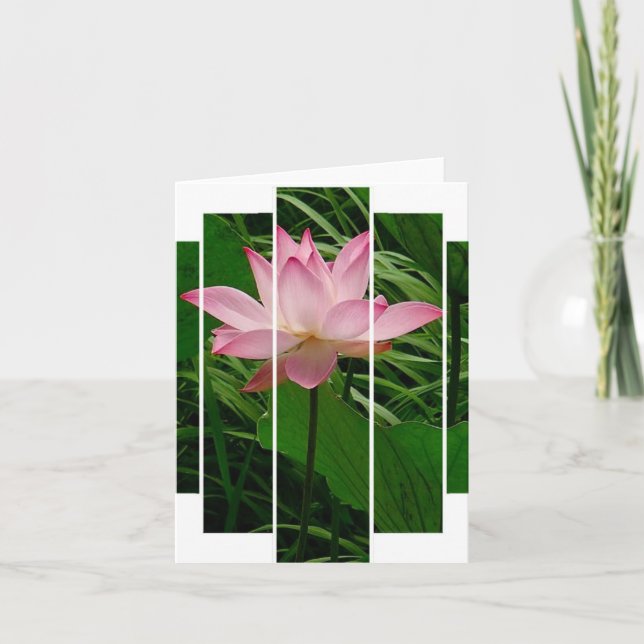 Lotus Notecard Dankeskarte (Vorderseite)