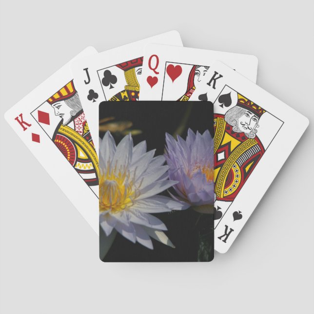 Lotus Playing Cards, Weiße Wasserlilie Spielkarten (Rückseite)