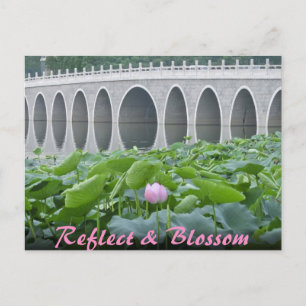 Lotus Pond Reflecting Bridge Arches Postkarte