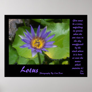 Lotus Poster mit Zitaten von Sai Baba