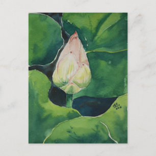 Lotus Postkarte