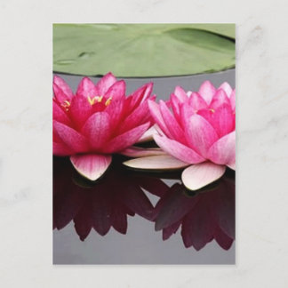 Lotus Postkarte
