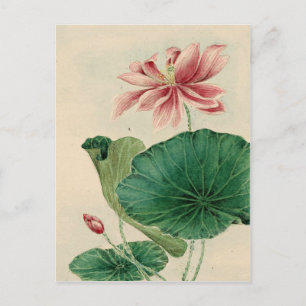Lotus Postkarte
