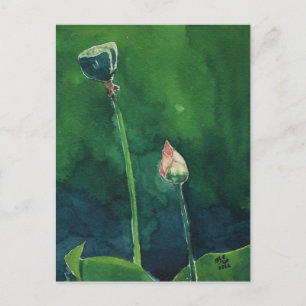 Lotus Postkarte