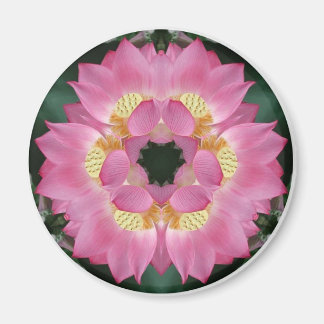 Lotus Sternexplosion Magnet