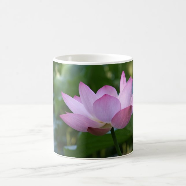 Lotus Tasse (Mittel)