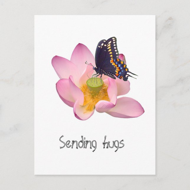 Lotus und Schmetterling Postkarte (Vorderseite)