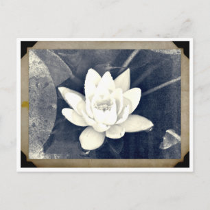 LOTUS VINTAGE FOTOGRAFIE POSTKARTE