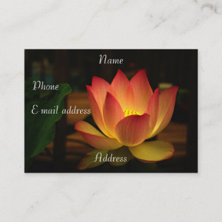 Lotus-Visitenkarte Visitenkarte