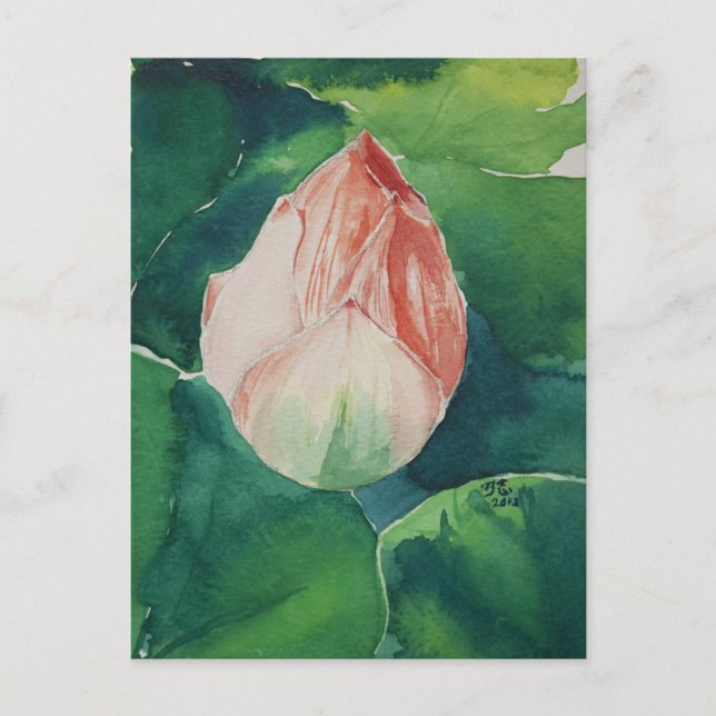 Lotus vival postkarte (Vorderseite)