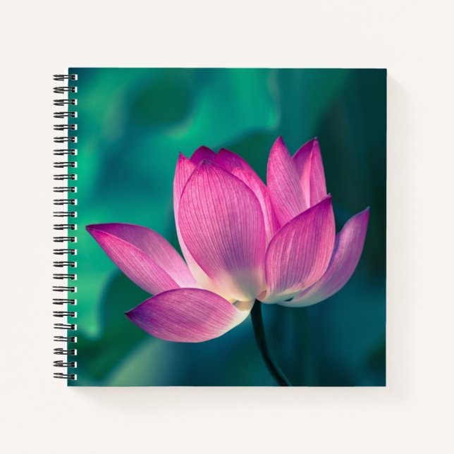 Lotus Water Lily Blume Notizbuch (Vorderseite)