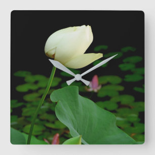 Lotus Water Lily Bud Quadratische Wanduhr