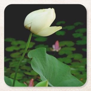 Lotus Water Lily Rechteckiger Pappuntersetzer