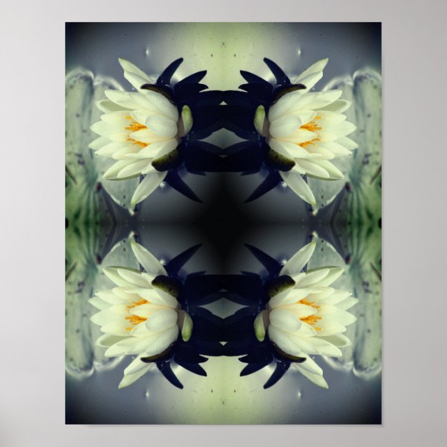 Lotus Water Livio Blume Mirror Abstrakte Kunst Poster (Vorne)