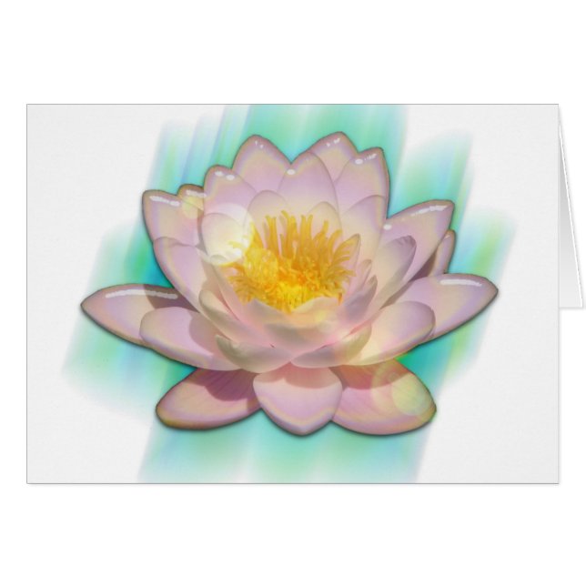 Lotusbloom (Vorderseite (Horizontal))