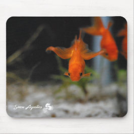 Lotusfantail-orange Goldfisch Mousepad