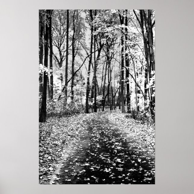 Loud Whisper Poster (Vorne)