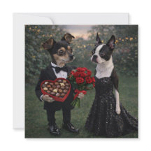 Louie & Luna wünschen Ihnen einen glücklichen Vale