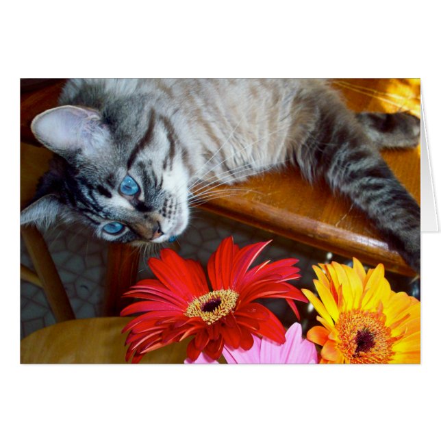 Louies BlumeBliss (Vorderseite (Horizontal))