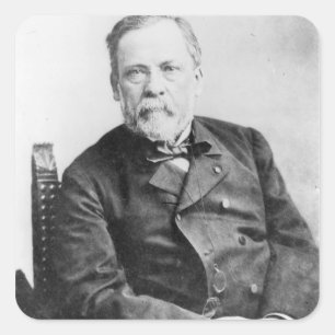 Louis Pasteur Quadratischer Aufkleber