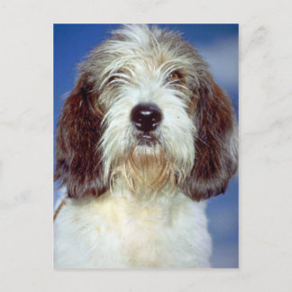 Louis,""" Petit Basset Griffon de Vendeen Postkarte
