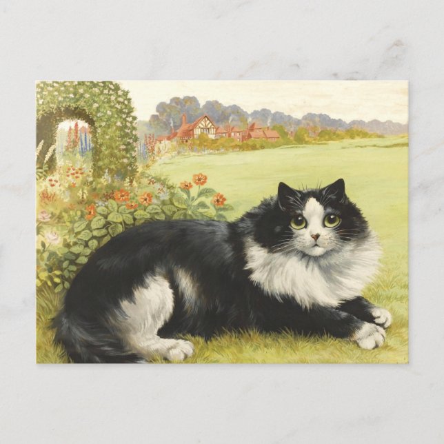 Louis Wain Black and White Cat Postkarte (Vorderseite)
